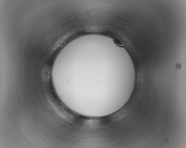 X0000114000168200910231800