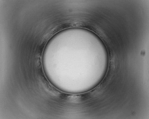 X0000114000169200910231800