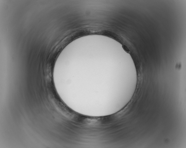 X0000114000170200910231800