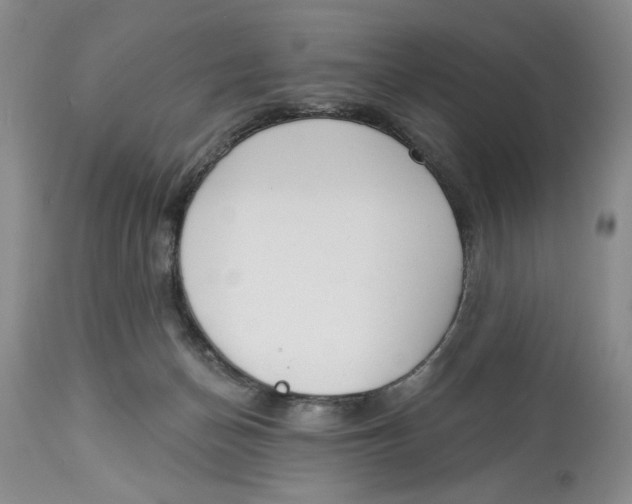 X0000114000174200910231800