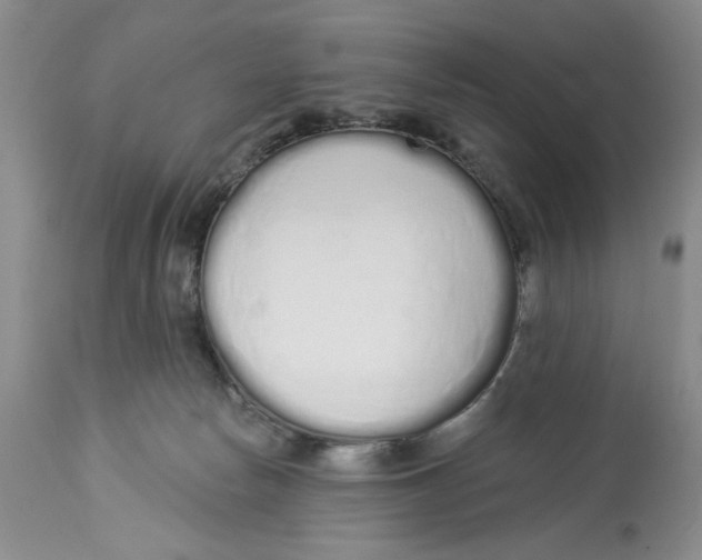 X0000114000178200910231800