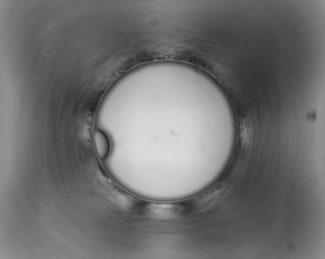 X0000114000181200910231800
