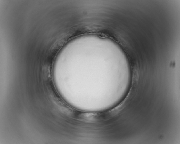 X0000114000182200910231800