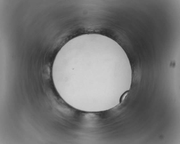 X0000114000183200910231800