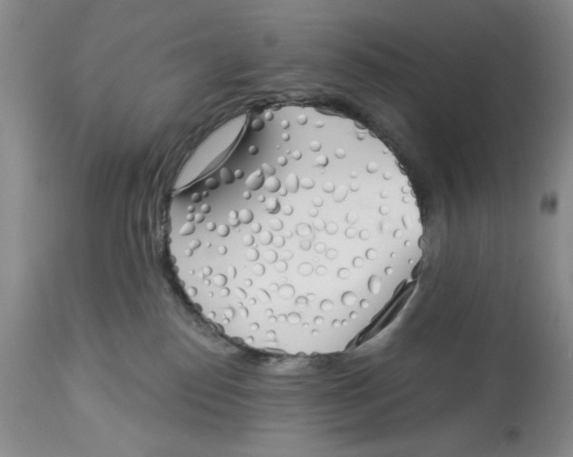 X0000114000186200910231800