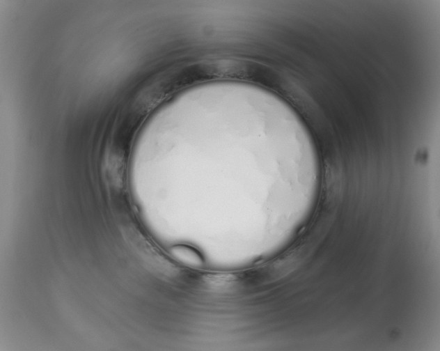 X0000114000189200910231800