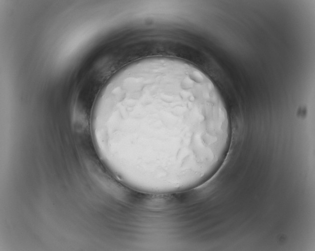X0000114000191200910231800