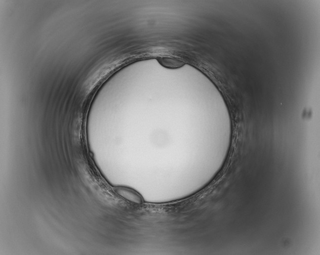X0000114000194200910231800