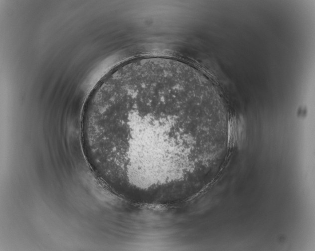 X0000114000195200910231800