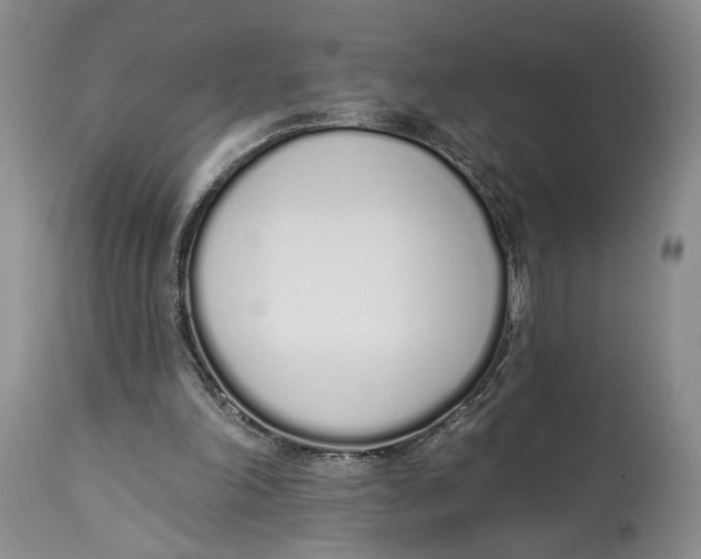 X0000114000198200910231800