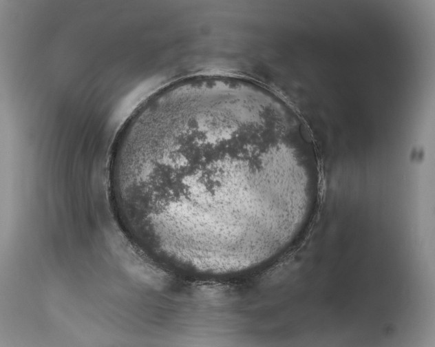 X0000114000199200910231800
