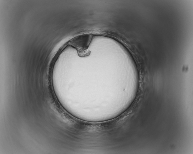 X0000114000200200910231800