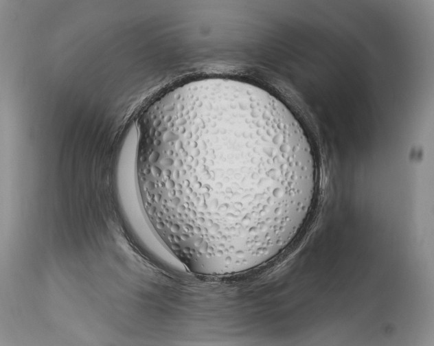 X0000114000201200910231800