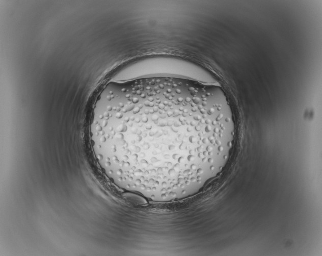 X0000114000203200910231800