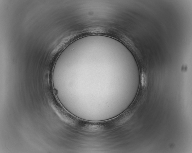 X0000114000205200910231800