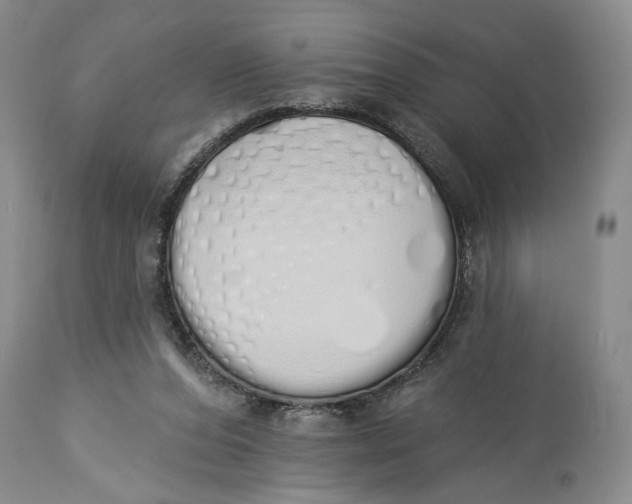 X0000114000208200910231759