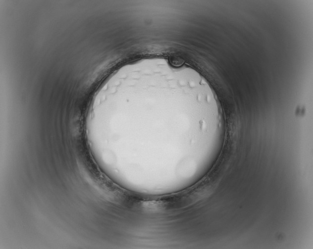 X0000114000216200910231759