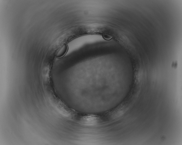 X0000114000219200910231759