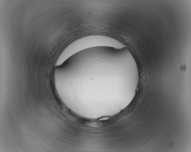X0000114000221200910231759