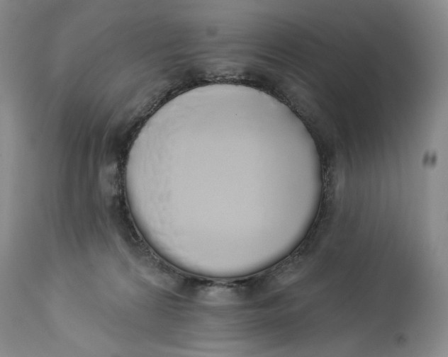 X0000114000224200910231759
