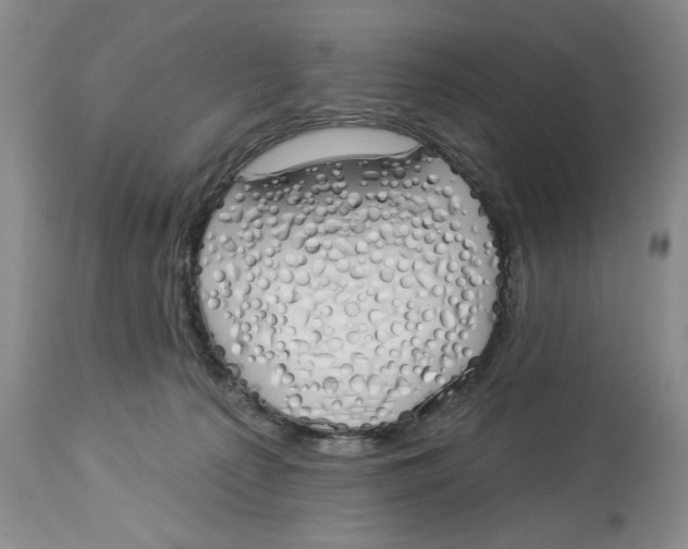 X0000114000225200910231759