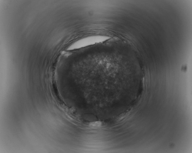 X0000114000227200910231759