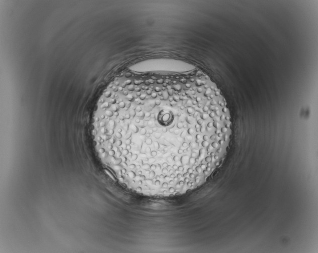 X0000114000229200910231759