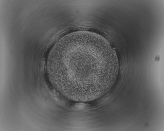 X0000114000231200910231759