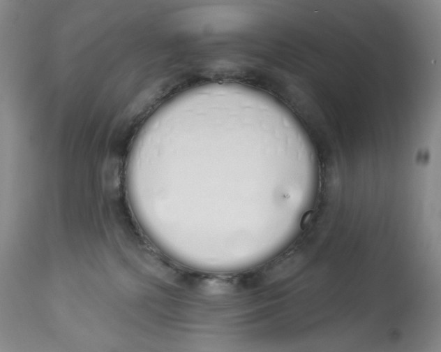 X0000114000232200910231759
