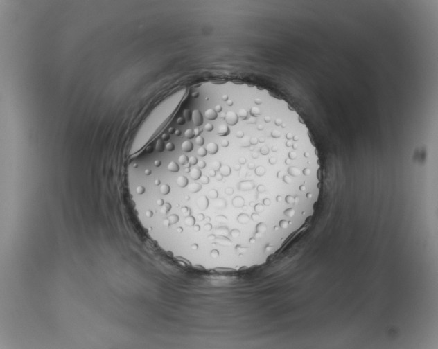 X0000114000233200910231759