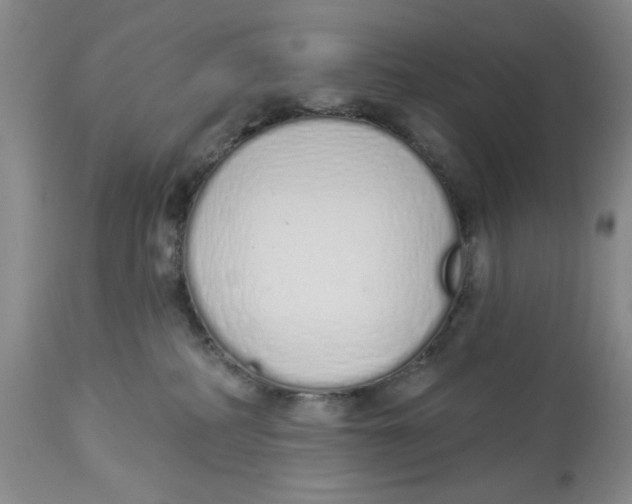 X0000114000234200910231759