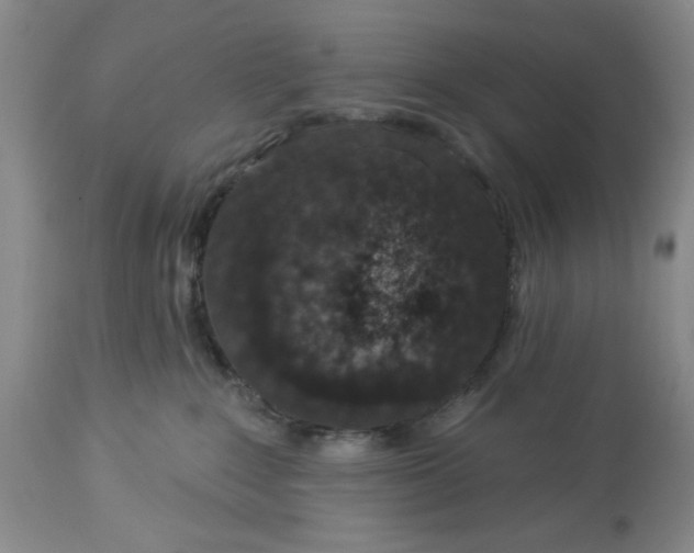 X0000114000235200910231759