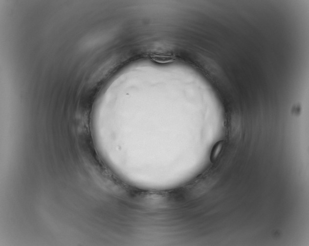X0000114000236200910231759