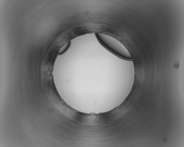 X0000114000237200910231759