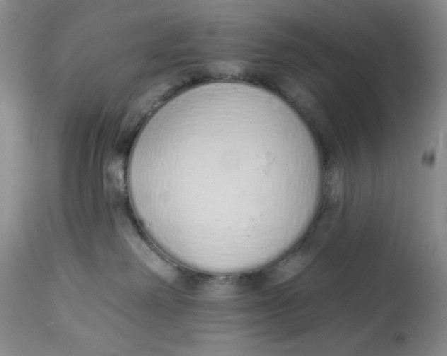 X0000114000238200910231759