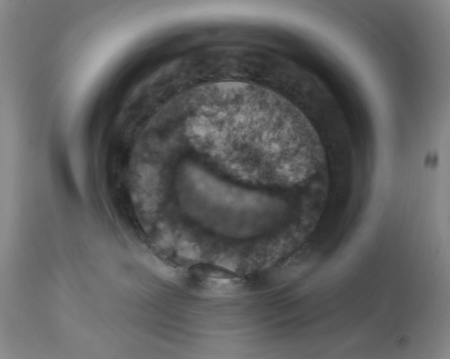 X0000114000239200910231759