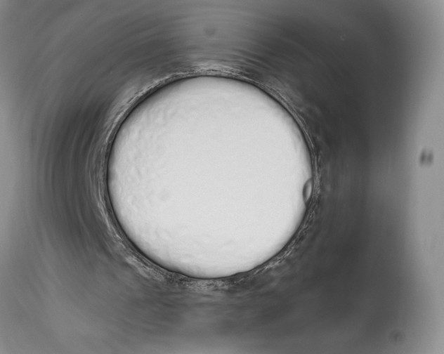 X0000114000241200910231758