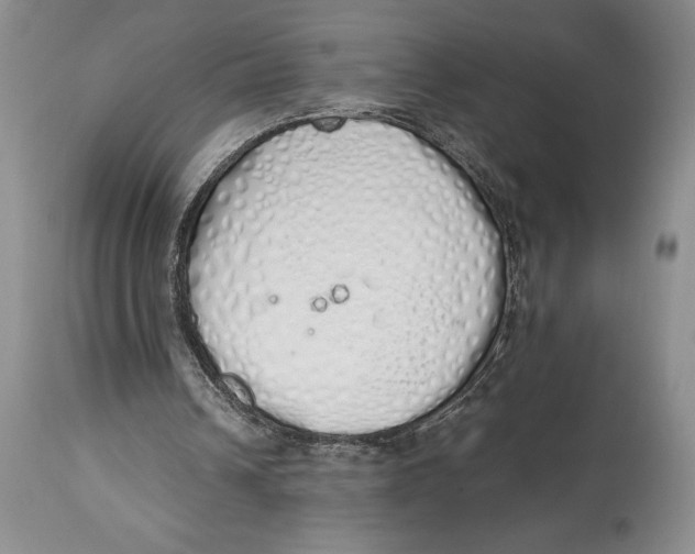 X0000114000242200910231758