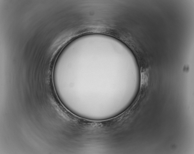 X0000114000243200910231758