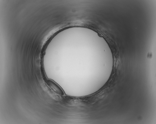 X0000114000244200910231758