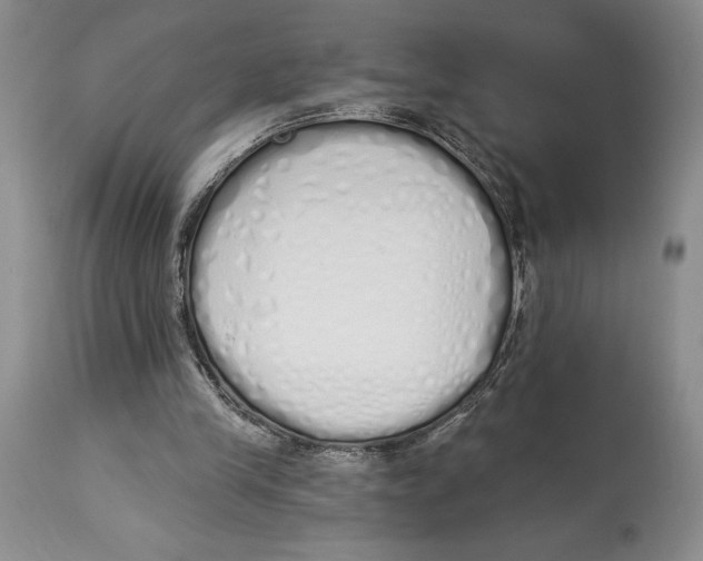 X0000114000245200910231758