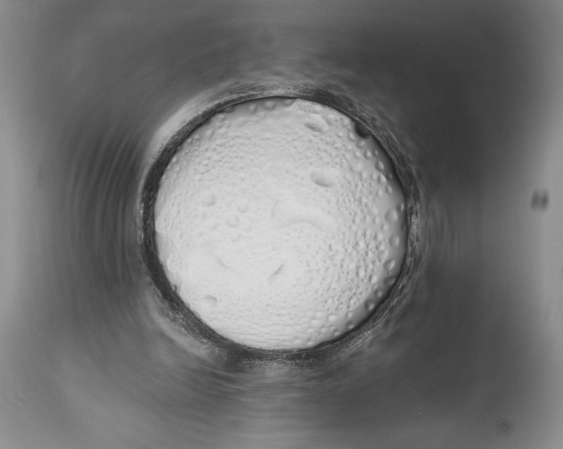 X0000114000246200910231758