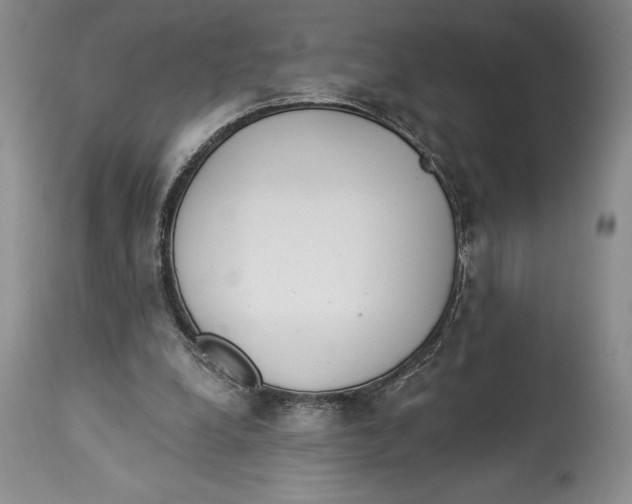 X0000114000248200910231758