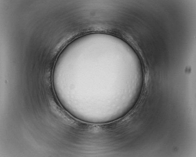 X0000114000249200910231759