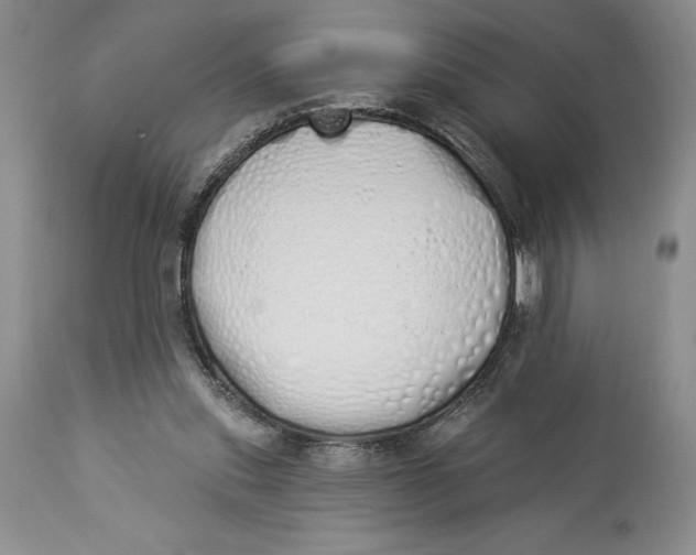 X0000114000253200910231759