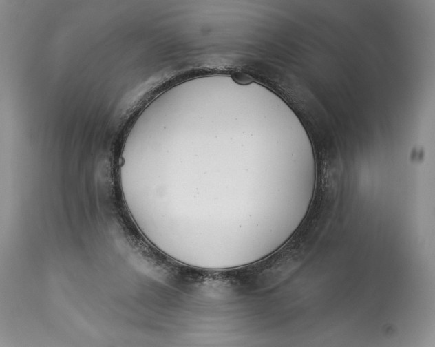 X0000114000256200910231759
