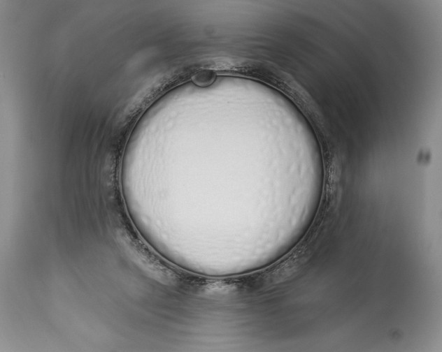 X0000114000257200910231759