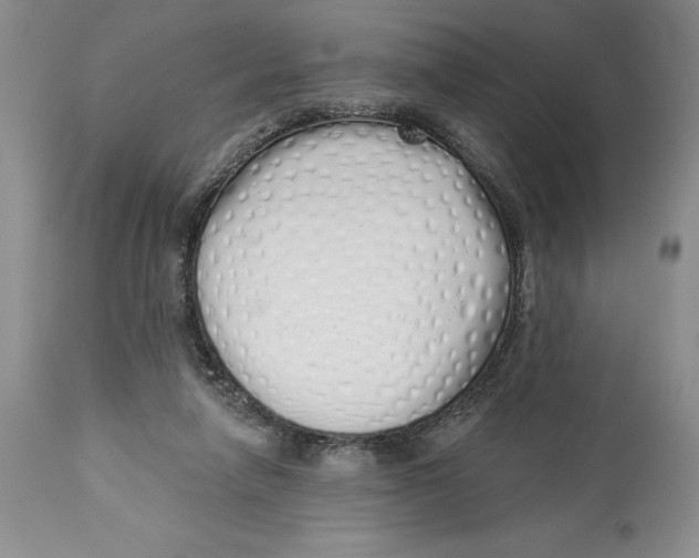 X0000114000258200910231759