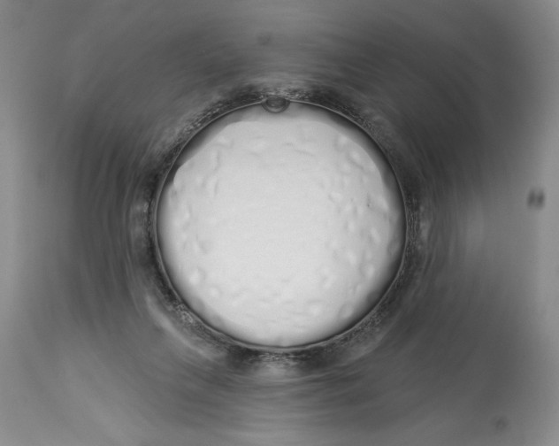 X0000114000263200910231759