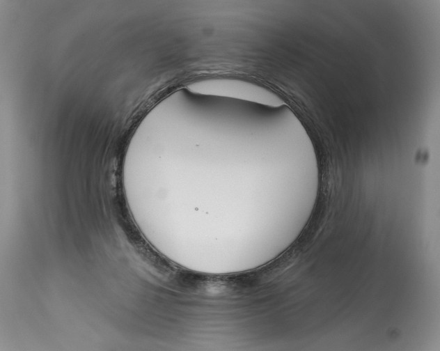 X0000114000264200910231759
